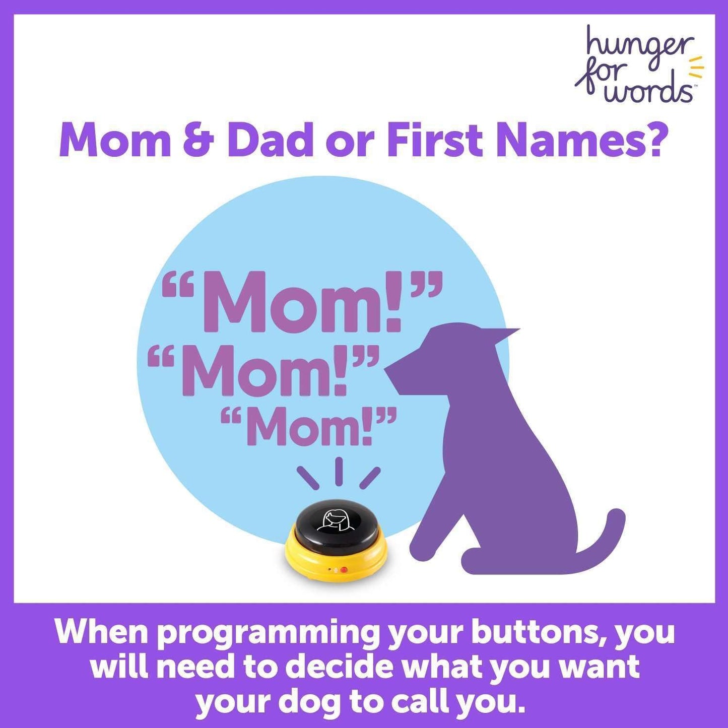 Talking Pet Next Words Names - 3 Piece Set of Recordable Speech Buttons for Dogs, Dog Buttons for Communication