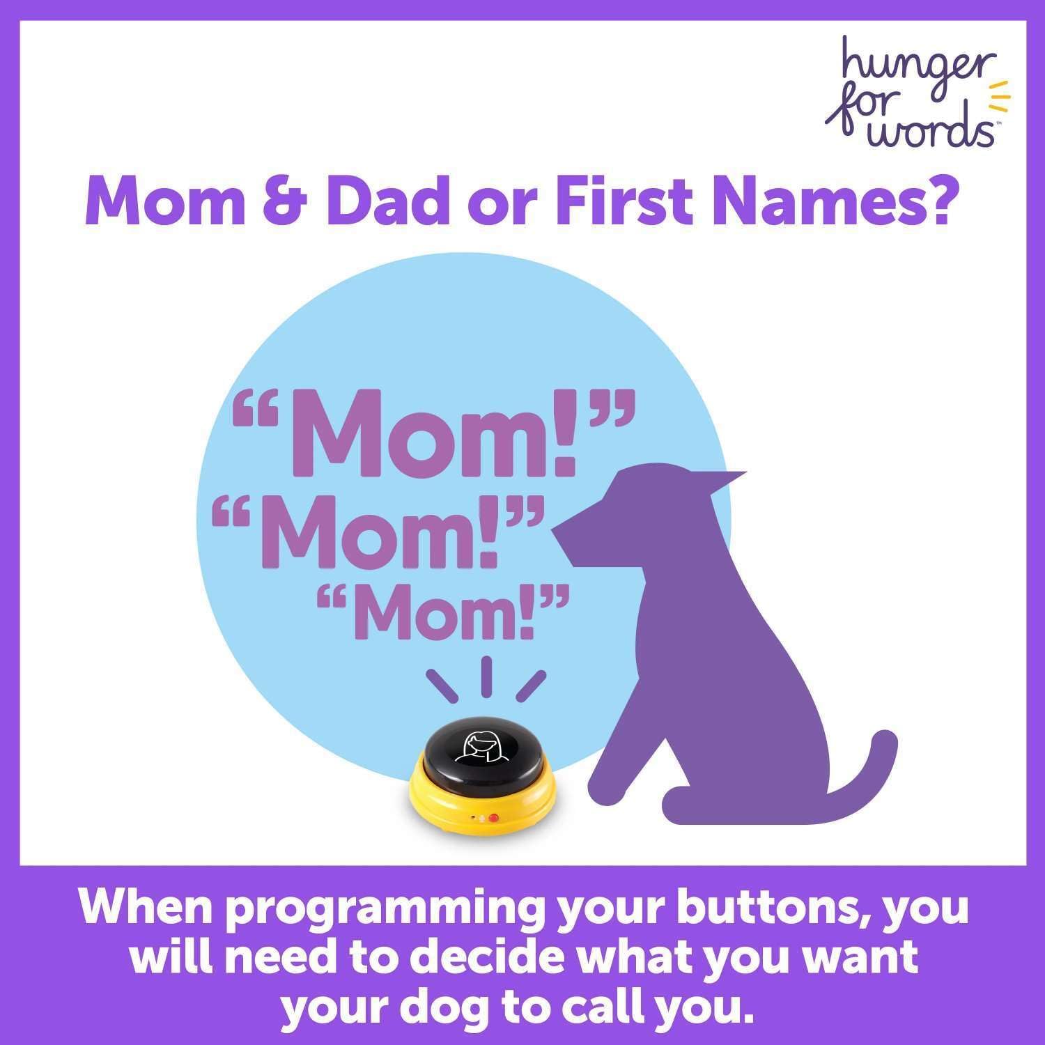 Talking Pet Next Words Names - 3 Piece Set of Recordable Speech Buttons for Dogs, Dog Buttons for Communication