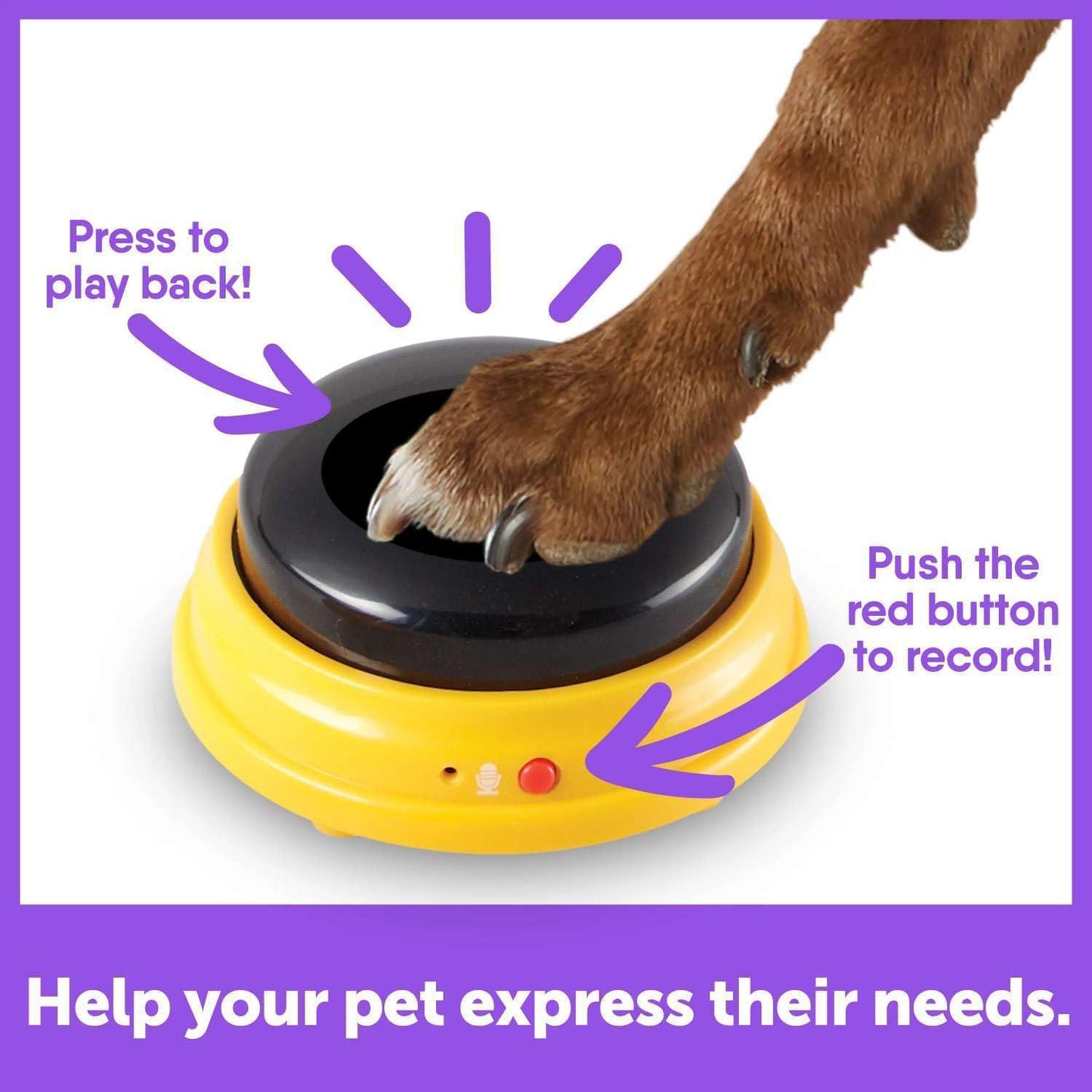 Talking Pet Next Words Names - 3 Piece Set of Recordable Speech Buttons for Dogs, Dog Buttons for Communication