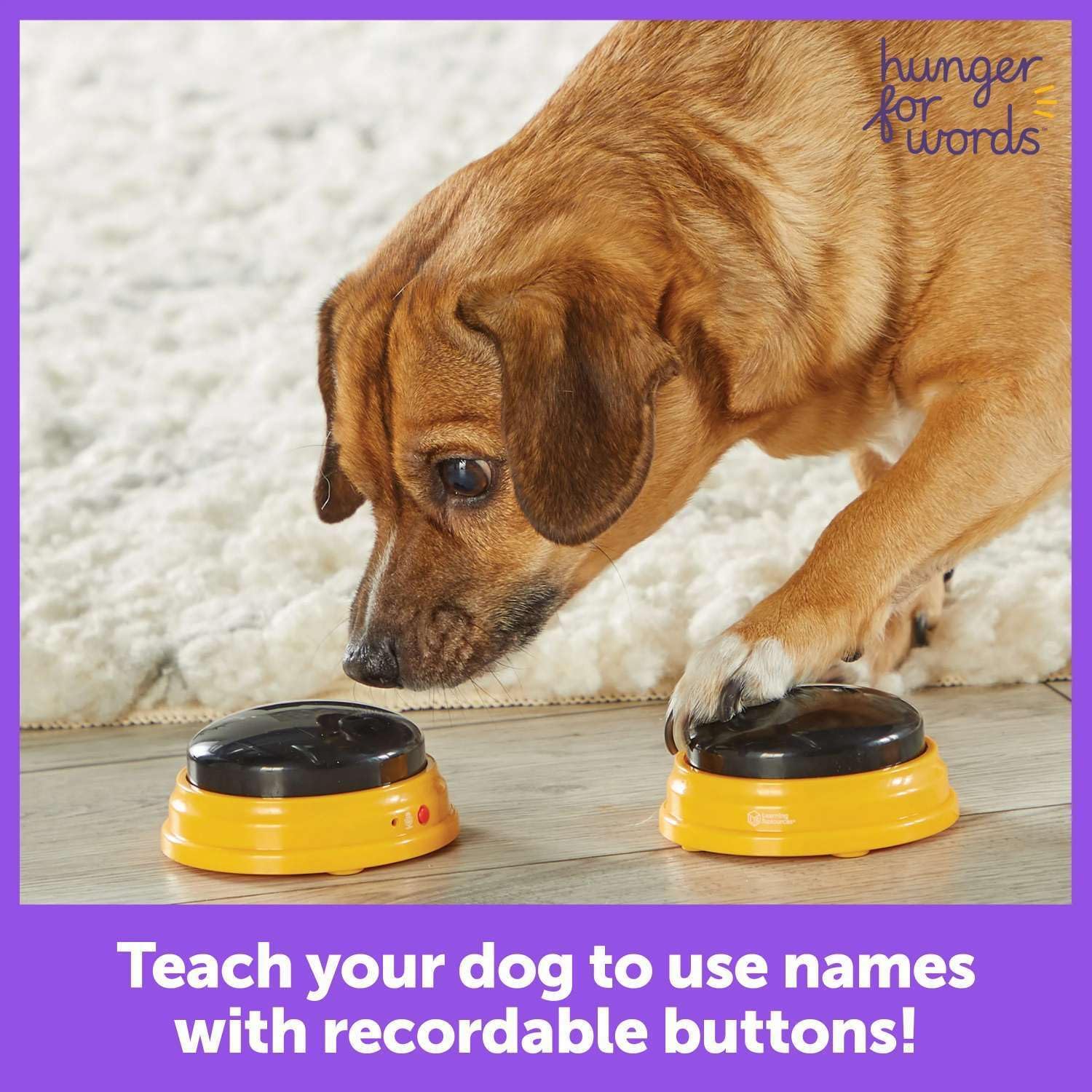 Talking Pet Next Words Names - 3 Piece Set of Recordable Speech Buttons for Dogs, Dog Buttons for Communication
